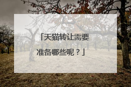 天猫转让需要准备哪些呢?
