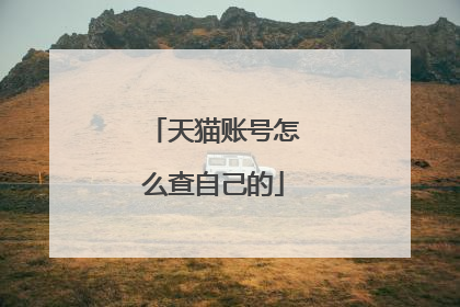 天猫账号怎么查自己的
