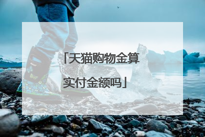 天猫购物金算实付金额吗