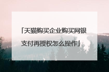 天猫购买企业购买网银支付再授权怎么操作