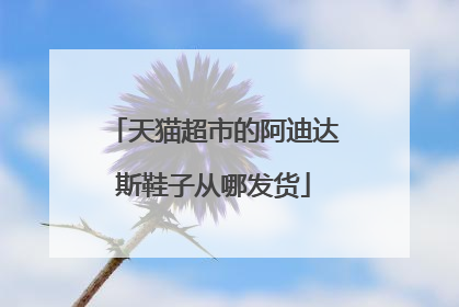 天猫超市的阿迪达斯鞋子从哪发货