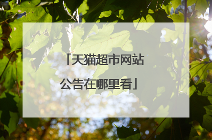 天猫超市网站公告在哪里看