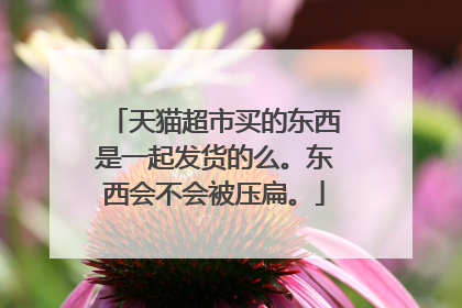 天猫超市买的东西是一起发货的么。东西会不会被压扁。