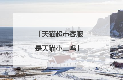 天猫超市客服是天猫小二吗