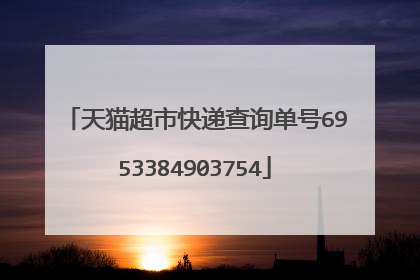 天猫超市快递查询单号6953384903754