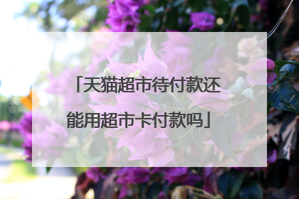 天猫超市待付款还能用超市卡付款吗