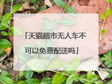 天猫超市无人车不可以免费配送吗