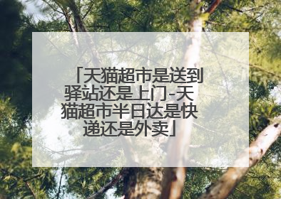 天猫超市是送到驿站还是上门-天猫超市半日达是快递还是外卖