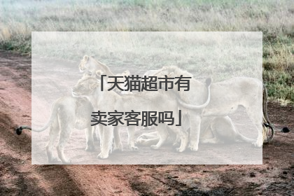天猫超市有卖家客服吗