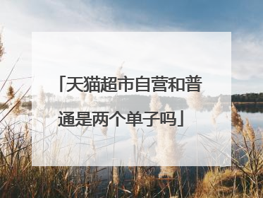 天猫超市自营和普通是两个单子吗