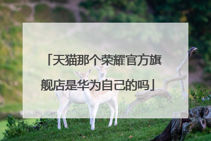 天猫那个荣耀官方旗舰店是华为自己的吗