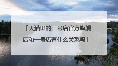 天猫里的一号店官方旗舰店和一号店有什么关系吗