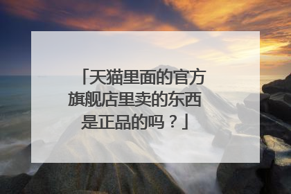 天猫里面的官方旗舰店里卖的东西是正品的吗？