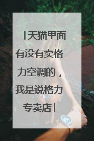 天猫里面有没有卖格力空调的，我是说格力专卖店