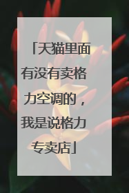 天猫里面有没有卖格力空调的,我是说格力专卖店