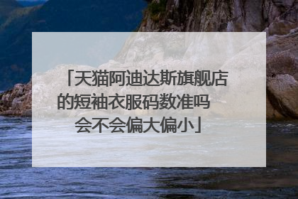 天猫阿迪达斯旗舰店的短袖衣服码数准吗 会不会偏大偏小