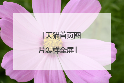 天猫首页图片怎样全屏