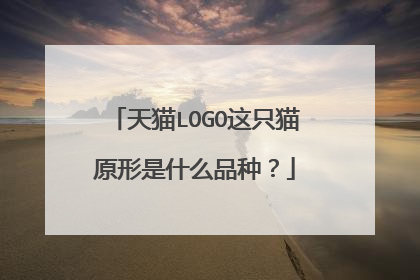 天猫LOGO这只猫原形是什么品种?