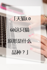 天猫LOGO这只猫原形是什么品种？
