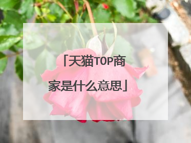 天猫TOP商家是什么意思