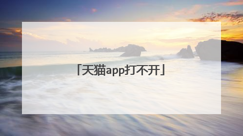 天猫app打不开