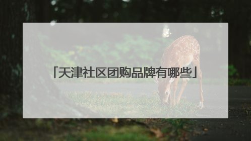天津社区团购品牌有哪些