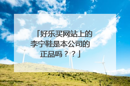 好乐买网站上的李宁鞋是本公司的正品吗？？