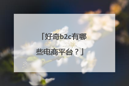 好奇b2c有哪些电商平台?