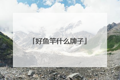 好鱼竿什么牌子