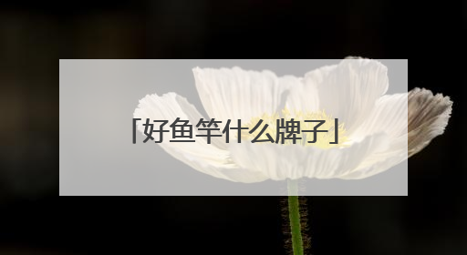 好鱼竿什么牌子