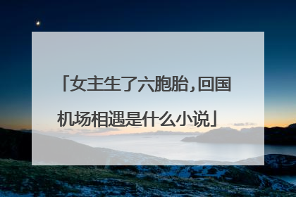 女主生了六胞胎,回国机场相遇是什么小说