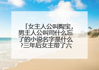 女主人公叫陶宝,男主人公叫司什么忘了的小说名字是什么?三年后女主带了六个娃从国外回来了