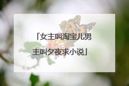 女主叫淘宝儿男主叫夕夜求小说