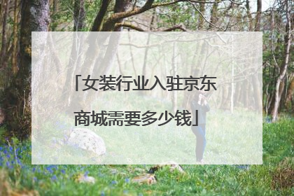 女装行业入驻京东商城需要多少钱