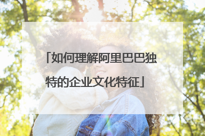 如何理解阿里巴巴独特的企业文化特征