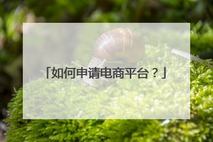 如何申请电商平台?