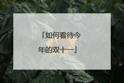 如何看待今年的双十一