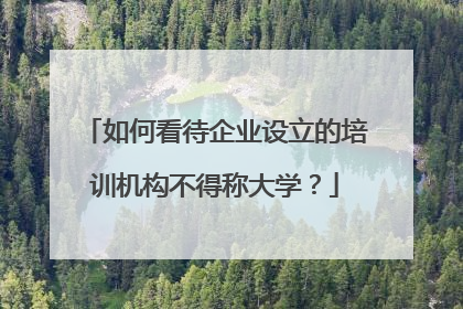 如何看待企业设立的培训机构不得称大学?
