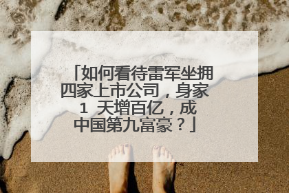 如何看待雷军坐拥四家上市公司,身家 1 天增百亿,成中国第九富豪?