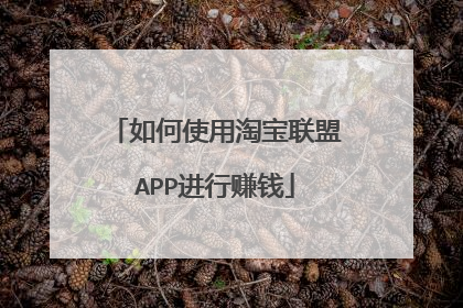 如何使用淘宝联盟APP进行赚钱