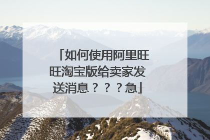 如何使用阿里旺旺淘宝版给卖家发送消息???急
