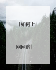 如何上网网购