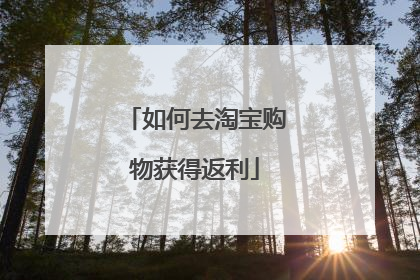 如何去淘宝购物获得返利