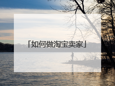 如何做淘宝卖家