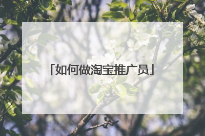 如何做淘宝推广员