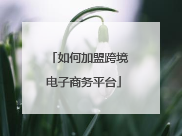如何加盟跨境电子商务平台