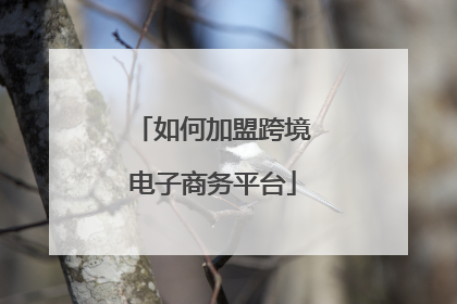 如何加盟跨境电子商务平台
