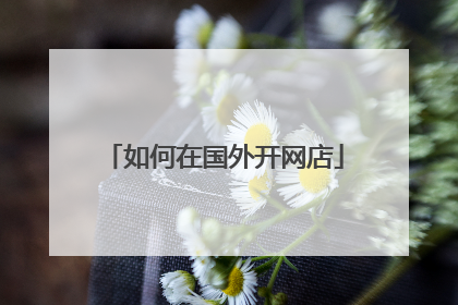 如何在国外开网店