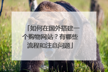 如何在国外搭建一个购物网站?有哪些流程和注意问题