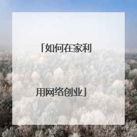 如何在家利用网络创业